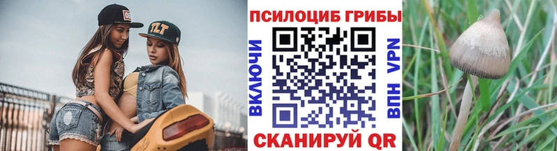 Псилоцибиновые грибы Magic Shrooms  Купить  Нерехта 