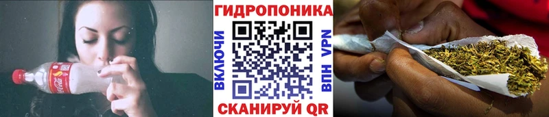 Конопля OG Kush  Купить закладки  Нерехта 